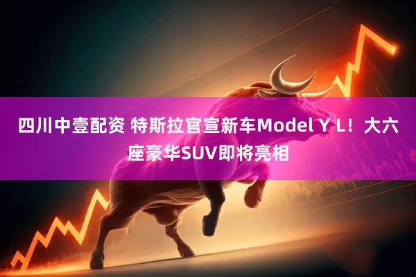 四川中壹配资 特斯拉官宣新车Model Y L！大六座豪华SUV即将亮相