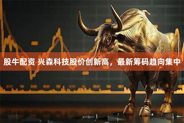 股牛配资 兴森科技股价创新高，最新筹码趋向集中