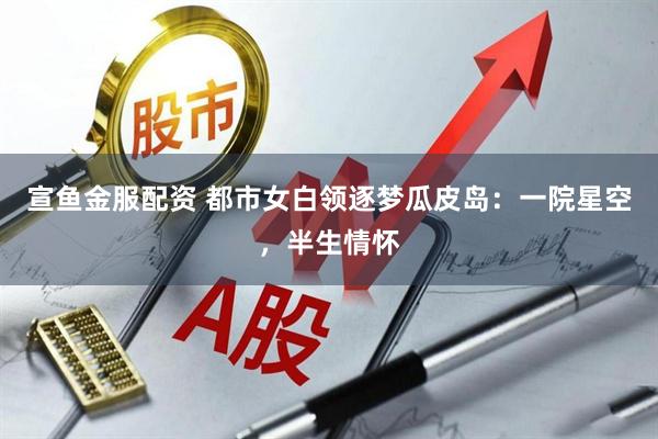 宣鱼金服配资 都市女白领逐梦瓜皮岛：一院星空，半生情怀