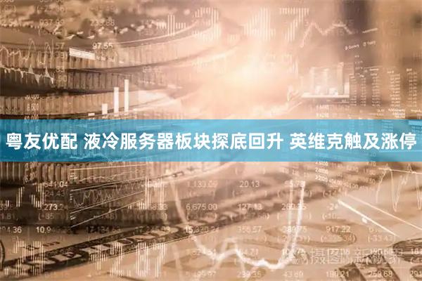 粤友优配 液冷服务器板块探底回升 英维克触及涨停