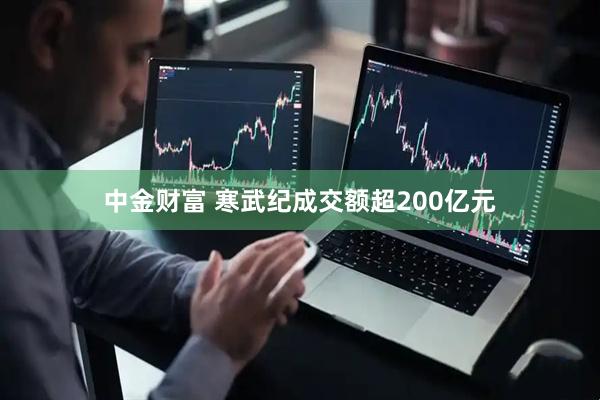 中金财富 寒武纪成交额超200亿元