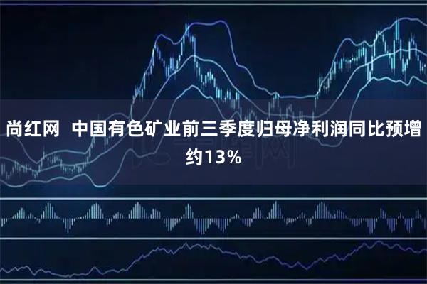 尚红网  中国有色矿业前三季度归母净利润同比预增约13%