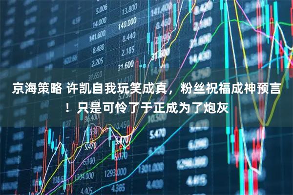 京海策略 许凯自我玩笑成真，粉丝祝福成神预言！只是可怜了于正成为了炮灰