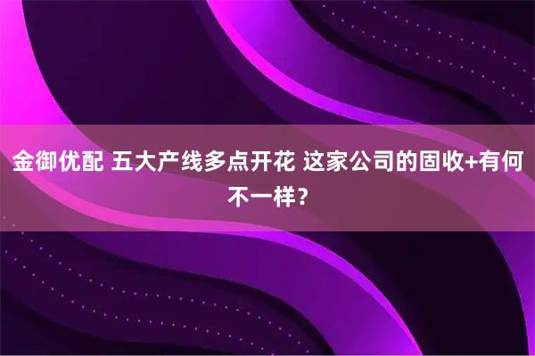 金御优配 五大产线多点开花 这家公司的固收+有何不一样？